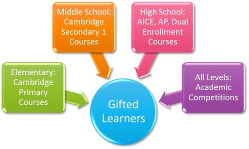 Gifted Learners 